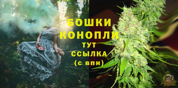 ECSTASY Новозыбков
