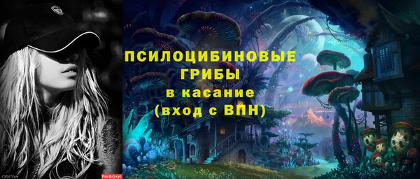 ECSTASY Новозыбков