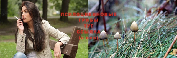 ECSTASY Новозыбков
