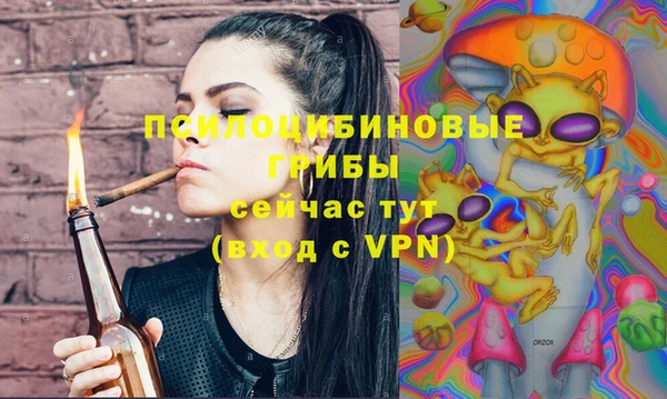 ECSTASY Новозыбков