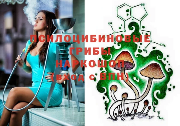 ECSTASY Новозыбков